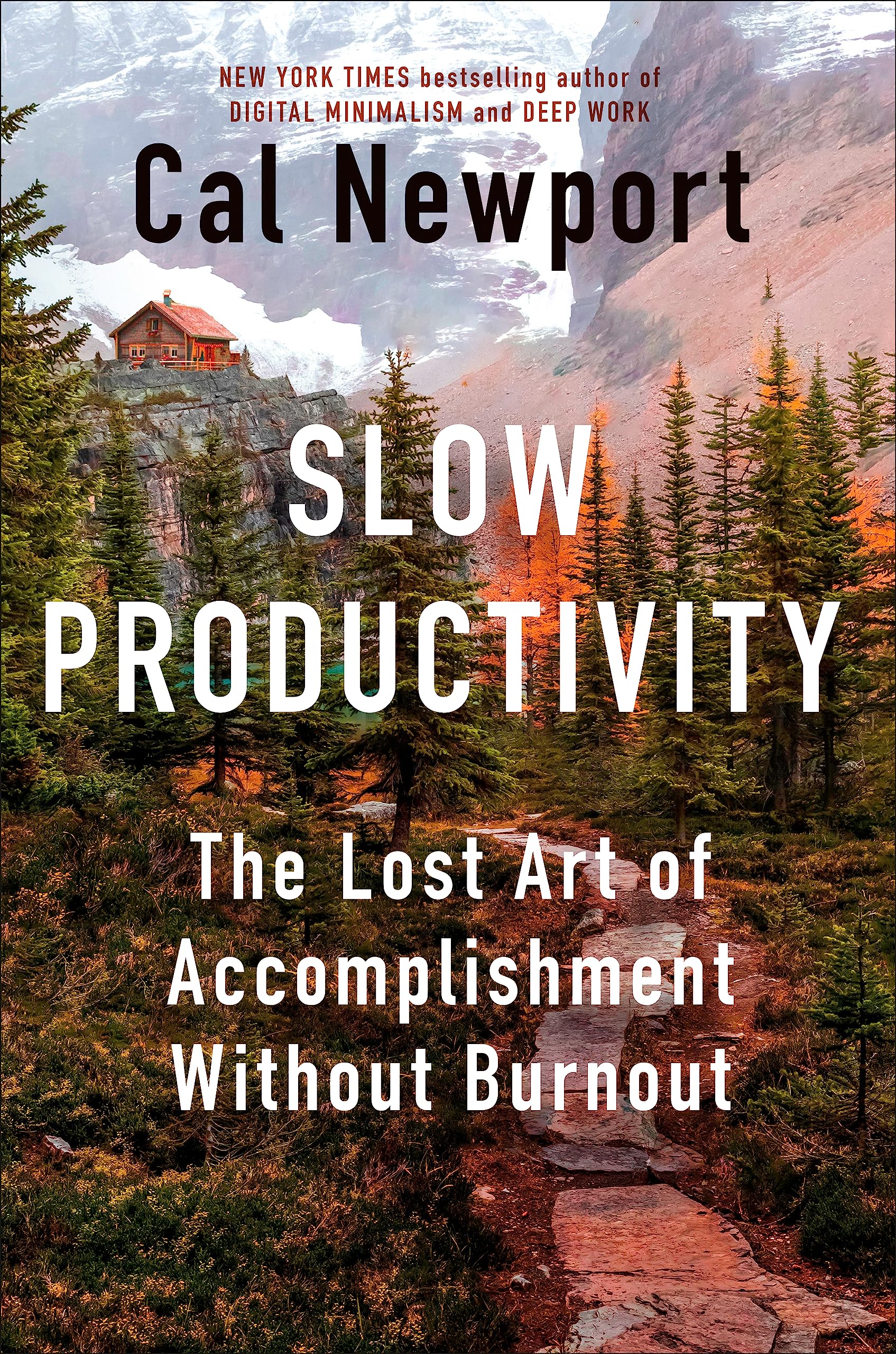 slow productivity by cal newport .